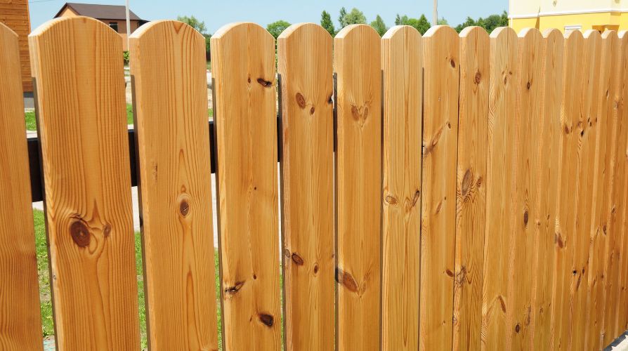 Insect-Resistant vs. Insect-Proof Wood Fencing